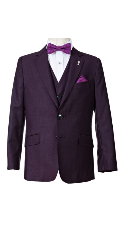 Dorian Black Boys Plum Suit