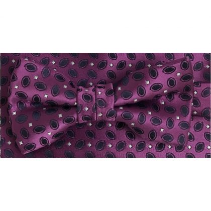 Boys Paisley Bowtie Set